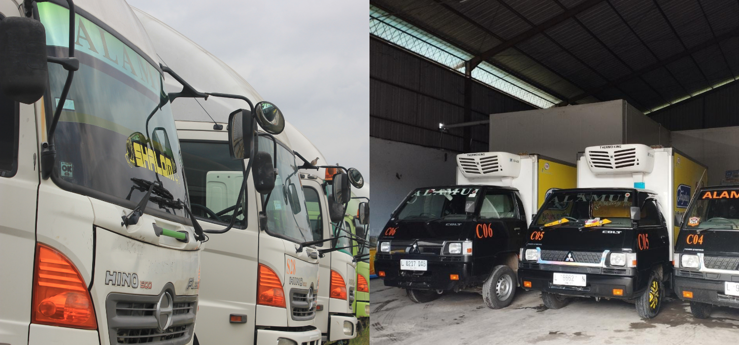 transportation_management